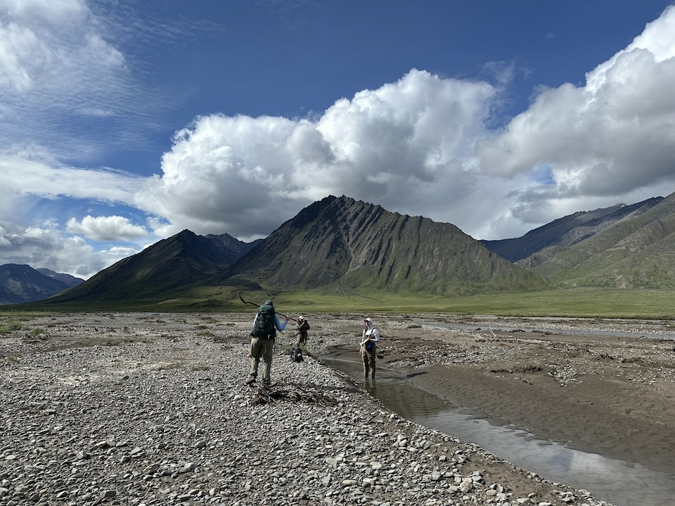 Three geologists walking over a gravelly bar and wading in a shallow, rippled pond on the Atigun River, Brooks Range, Alaska; cloudy blue skies over a mountainous backdrop with green tundra plants in the low hills near the river banks