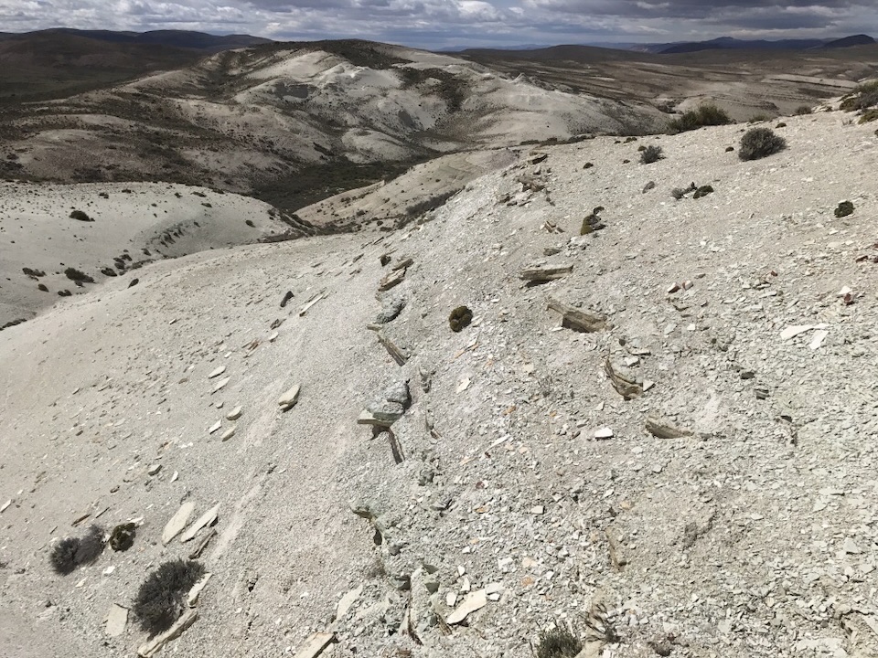 Layered, white-cream colored sedimentary beds of the Laguna del Hunco system, Patagonia, Argentina